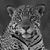 Panthera