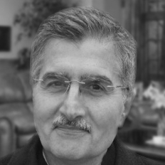 Ali Safavi