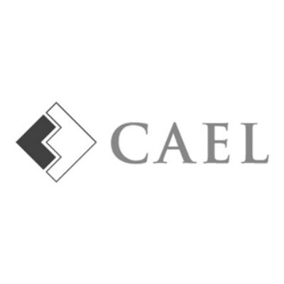 Council for Adult and Experiential Learning