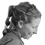 Dr Kate Evans