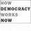 How Democracy Works Now