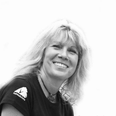 Jill Robinson MBE, Dr.med.vet. h.c.