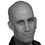 Jonathan Neil Schneider