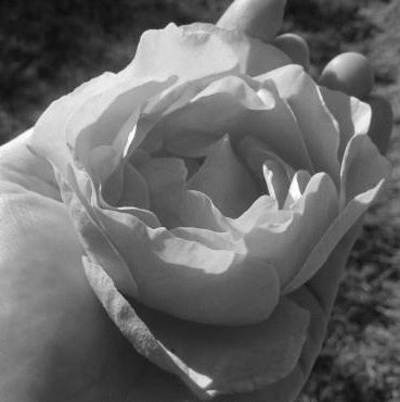 Katie Winrow