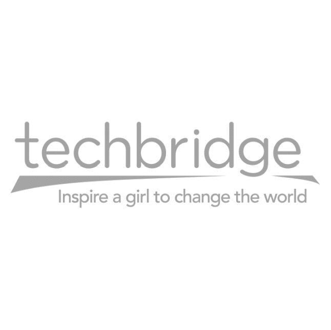 Techbridge Girls