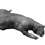The Montauk Monster