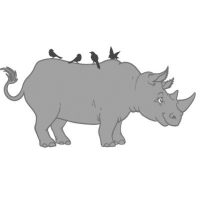 The Orange Rhino