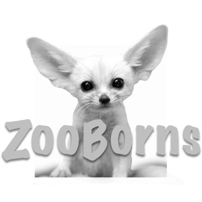 ZooBorns
