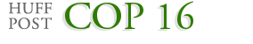COP 16