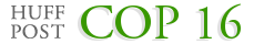 COP 16
