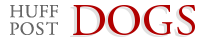 Dogs 