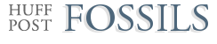 Fossils