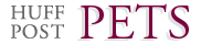 Pets